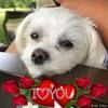 calee_87